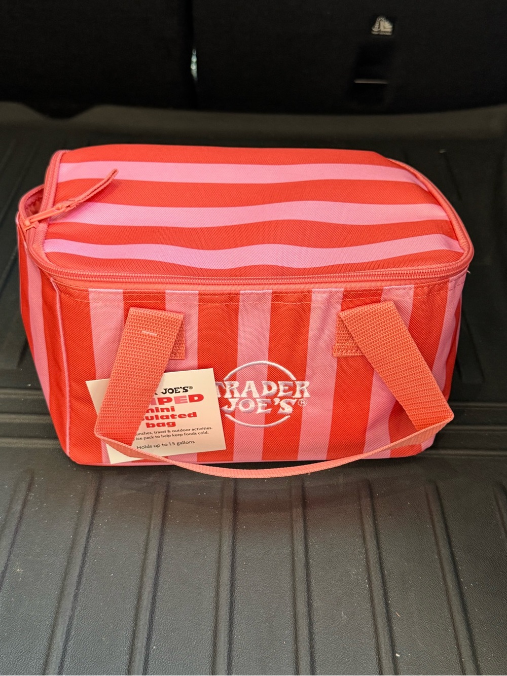 Trader Joe's mini Insulated Tote Lunch Bag Hot Pink Stripe 2026